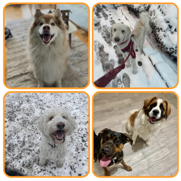 Untitled design (36)