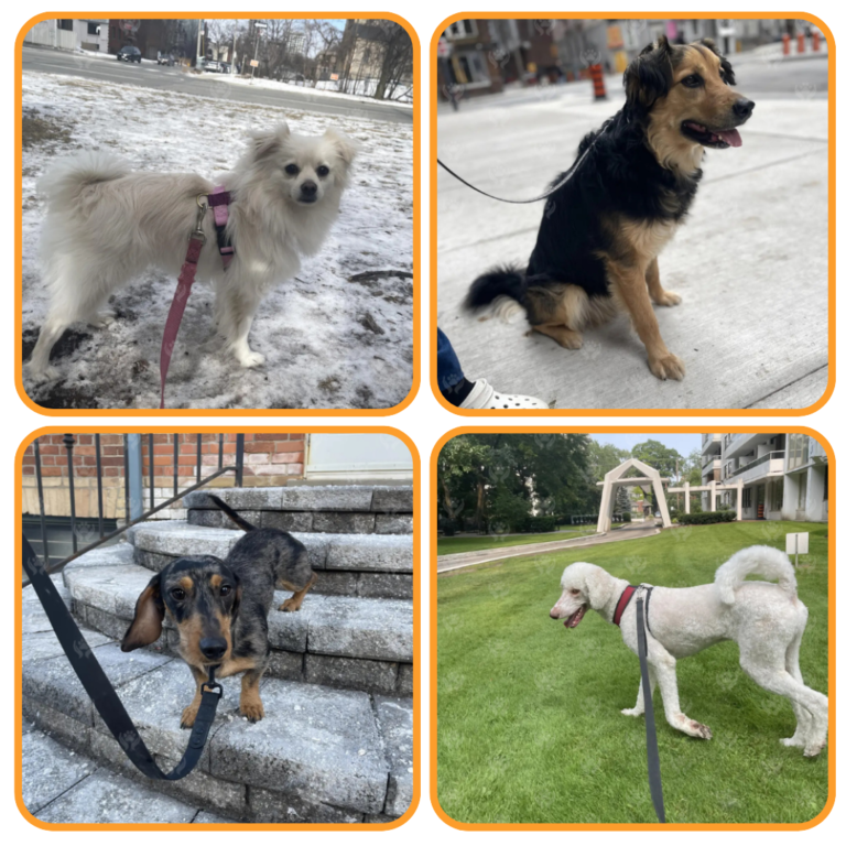 Untitled design (37)