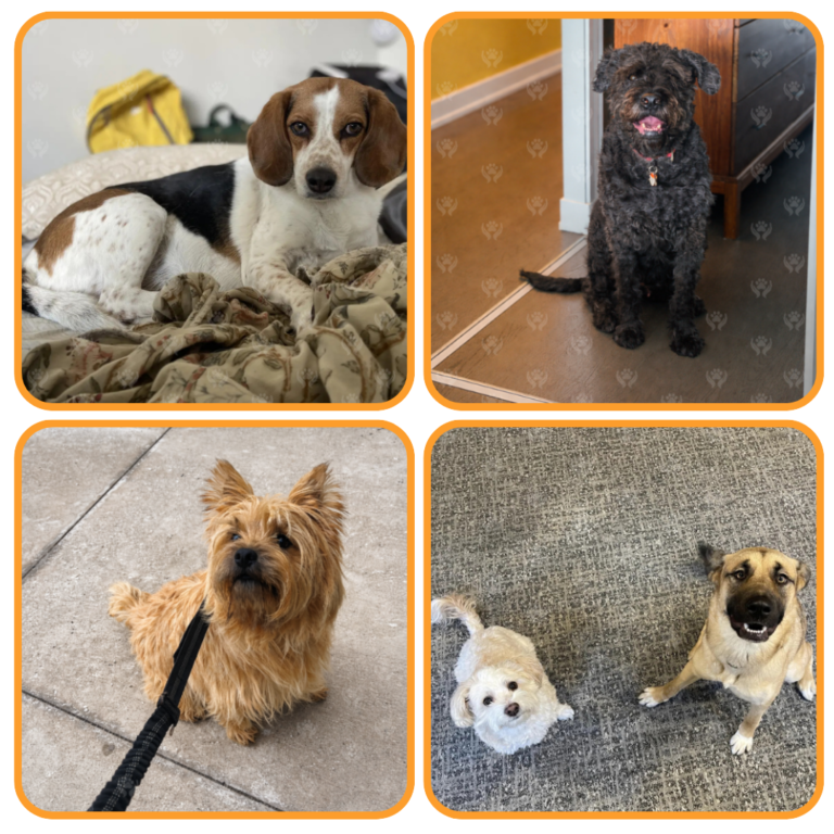 Untitled design (38)