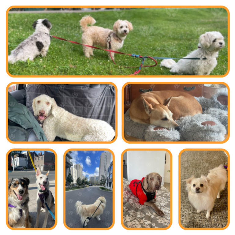 Untitled design (45)