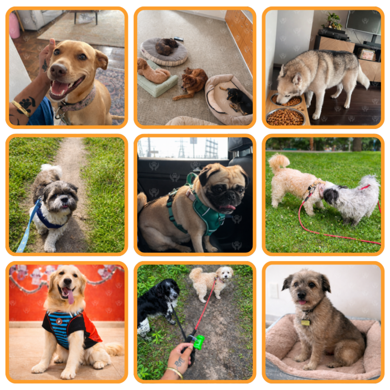 Untitled design (46)