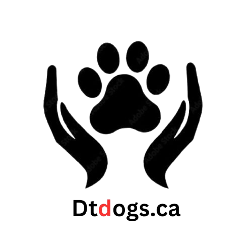 DTdogs.ca